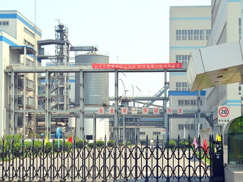 棕榈油精炼设备